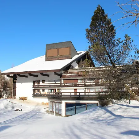 Birkenwald.1 * Seefeld in Tirol