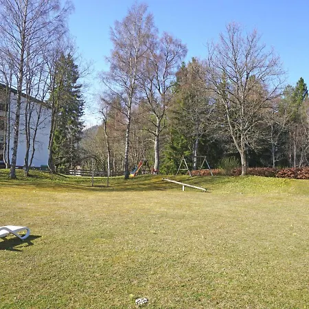 Birkenwald.1 Seefeld in Tirol