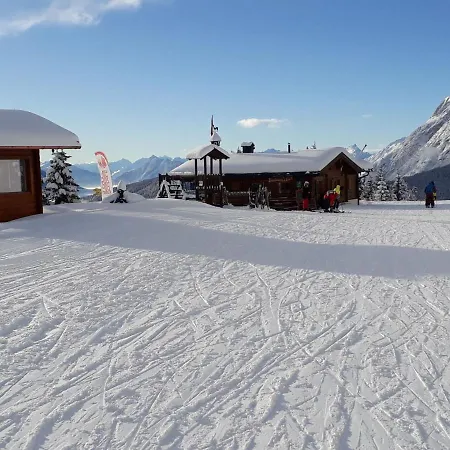 Birkenwald.1 * Seefeld in Tirol